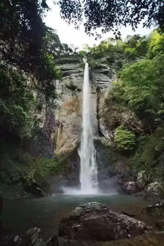 单峰逃脱